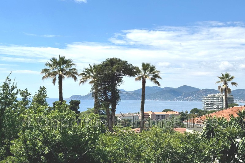 Vente Idéal investisseur Cannes  
