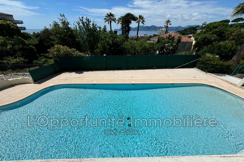Vente Idéal investisseur Cannes  