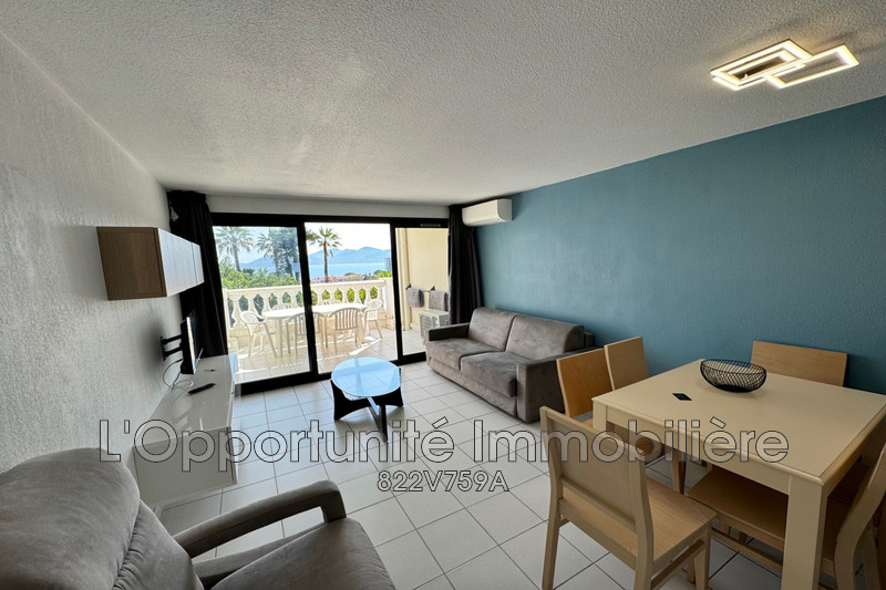 Vente Idéal investisseur Cannes  