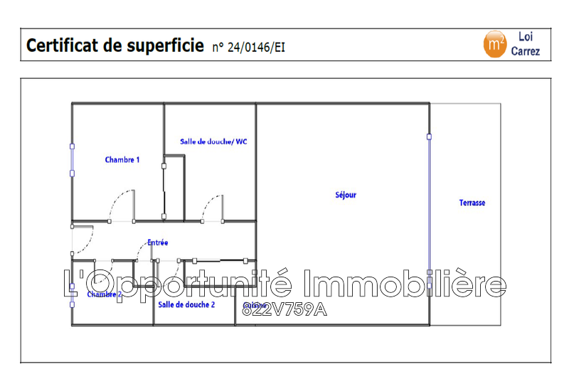 Vente Idéal investisseur Cannes  