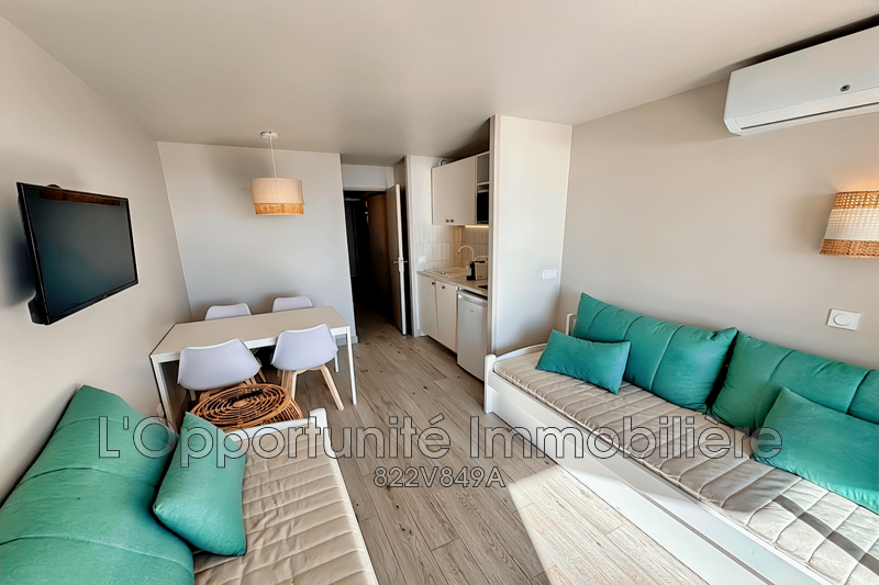 Vente Idéal investisseur Cannes  