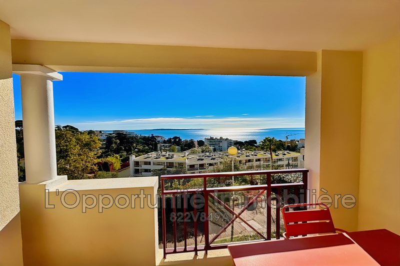 Vente Idéal investisseur Cannes  