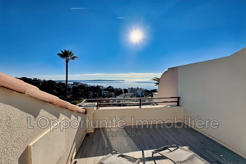 Vente Idéal investisseur Cannes  