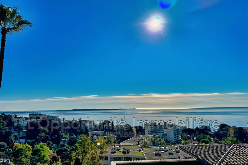 Vente Idéal investisseur Cannes  
