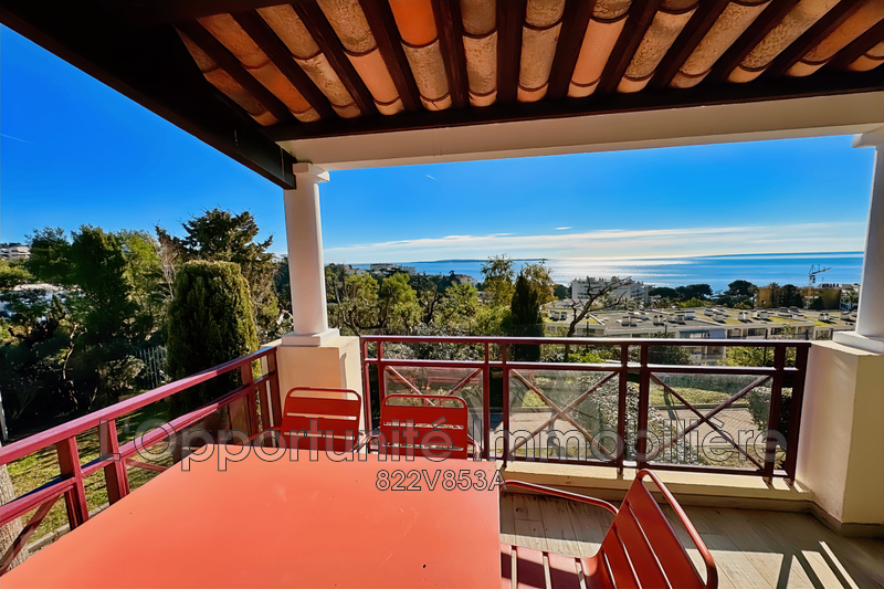 Vente Idéal investisseur Cannes  