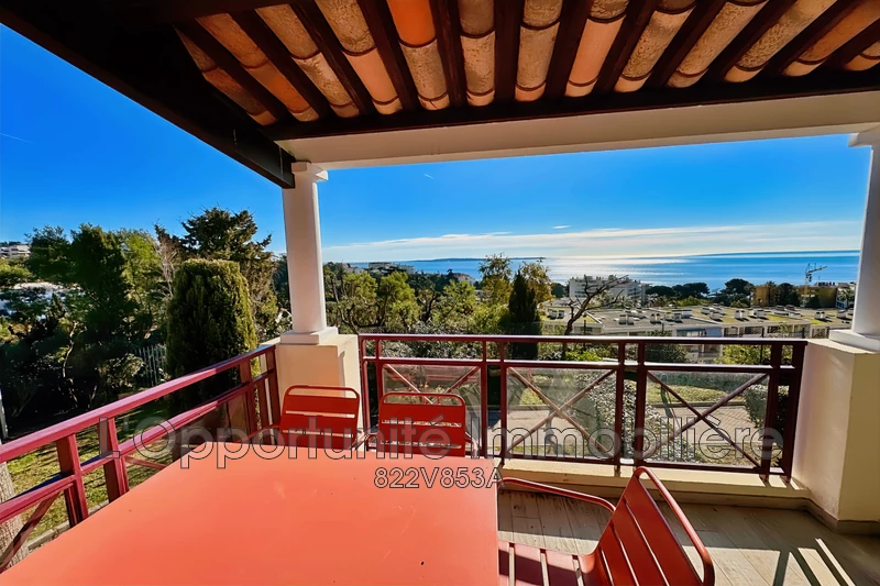 Vente Idéal investisseur Cannes  