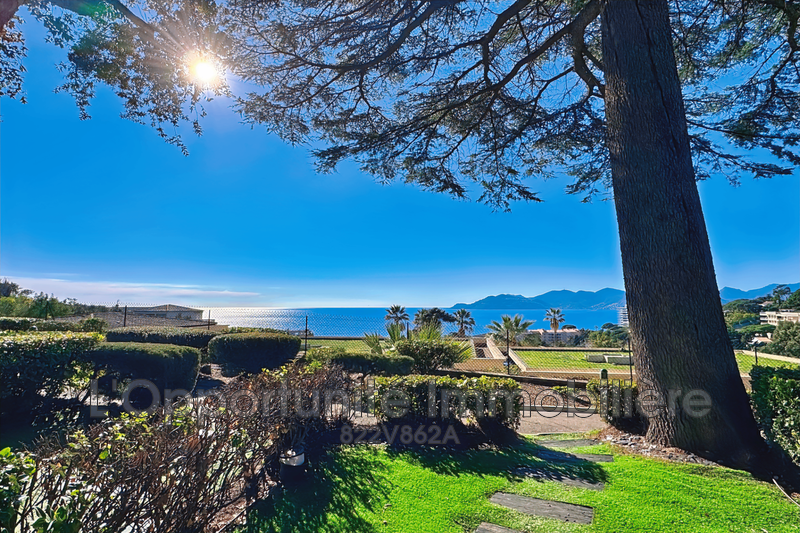 Vente Idéal investisseur Cannes  