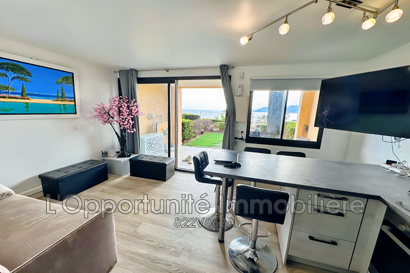 Vente Idéal investisseur Cannes  
