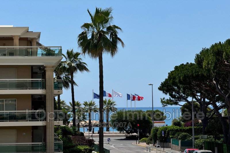 Vente Idéal investisseur Saint-Laurent-du-Var  