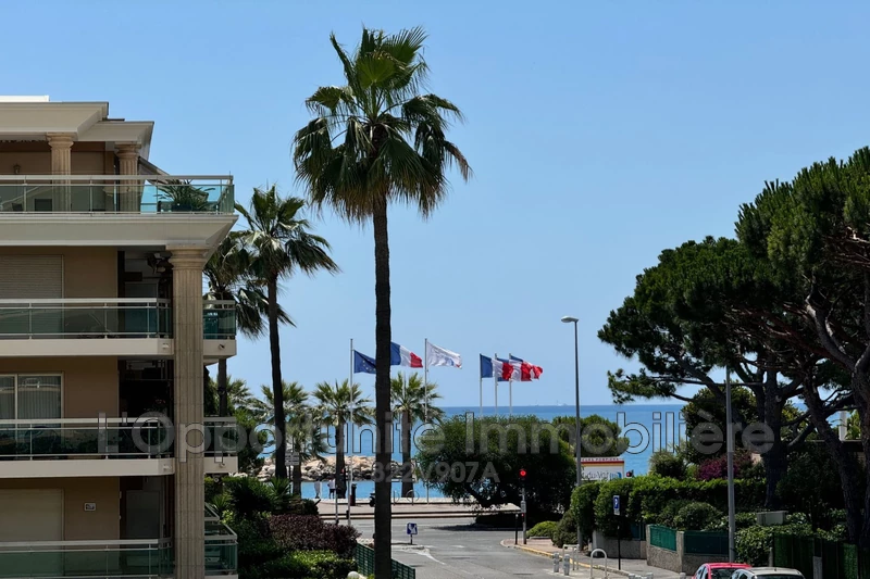 Vente Idéal investisseur Saint-Laurent-du-Var  
