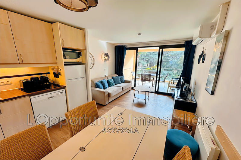 Vente Idéal investisseur Cannes  