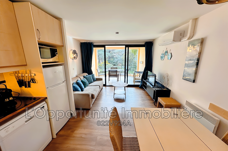 Vente Idéal investisseur Cannes  