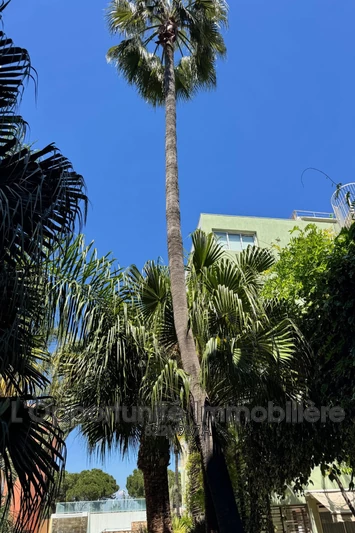 Vente Idéal investisseur Antibes  