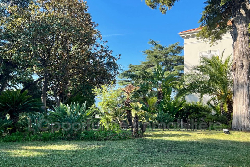 Vente Idéal investisseur Cannes  