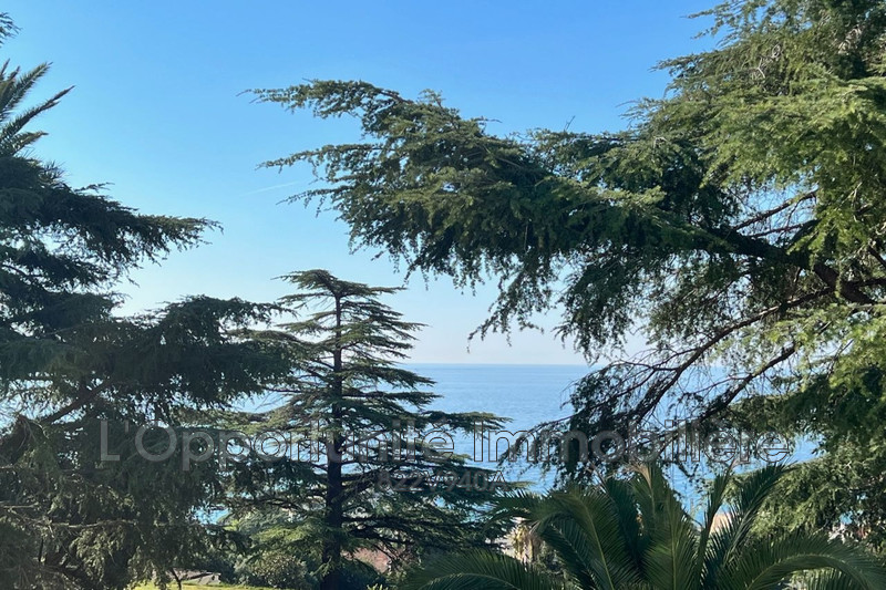 Vente Idéal investisseur Cannes  