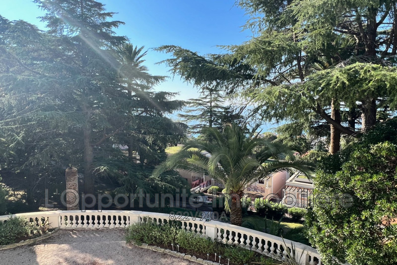 Vente Idéal investisseur Cannes  