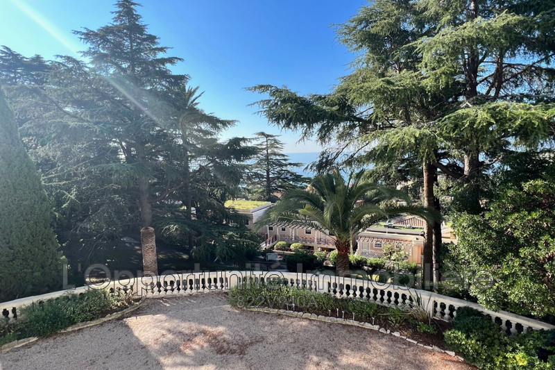 Vente Idéal investisseur Cannes  