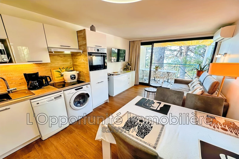 Vente Idéal investisseur Cannes  