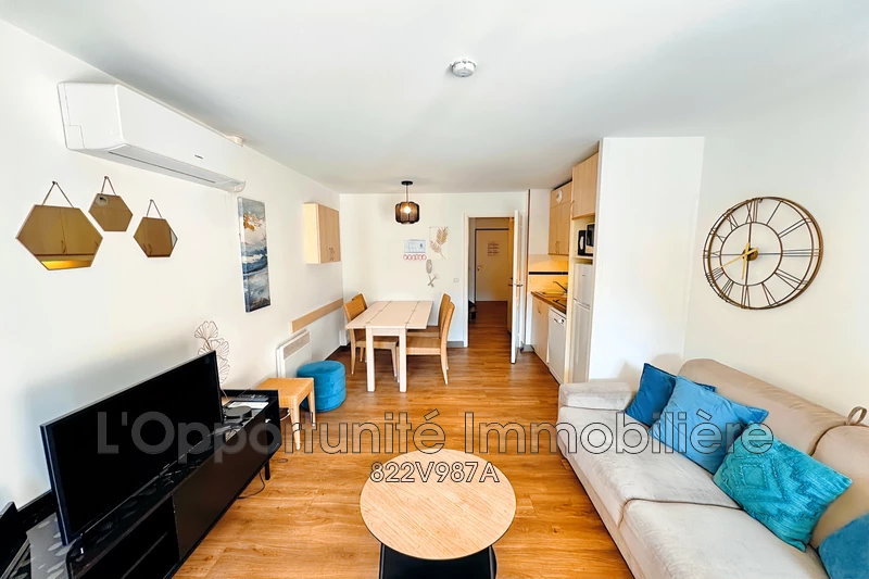 Vente Idéal investisseur Cannes-la-Bocca  