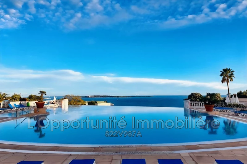 Vente Idéal investisseur Cannes-la-Bocca  