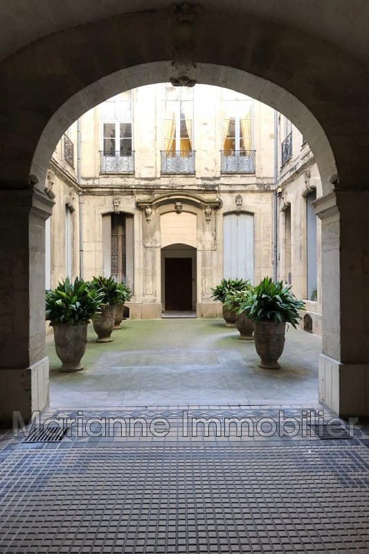 Photo Appartement Montpellier  Location appartement  1 pièce   35&nbsp;m&sup2;