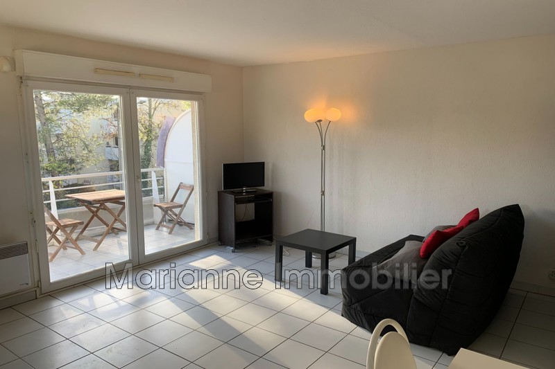 Photo Apartment Montpellier  Rentals apartment  2 rooms   46&nbsp;m&sup2;