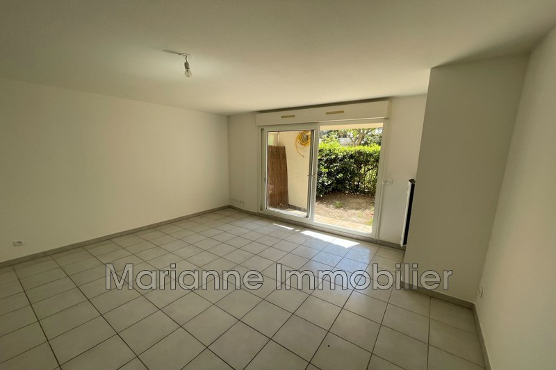 A Louer Sur Montpellier Marianne Immobilier