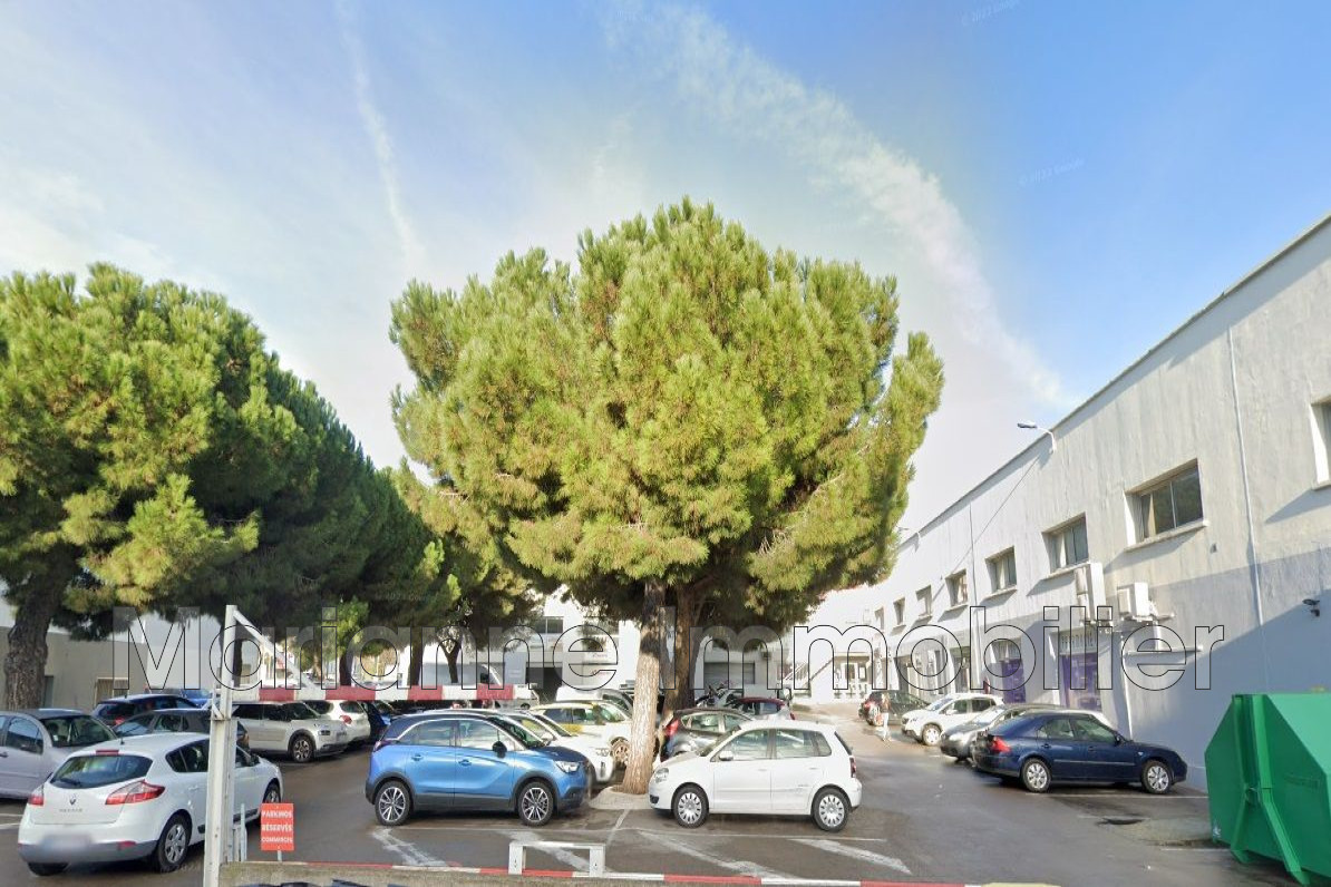 Photo Local commercial Montpellier  Professionnel local commercial   180&nbsp;m&sup2;