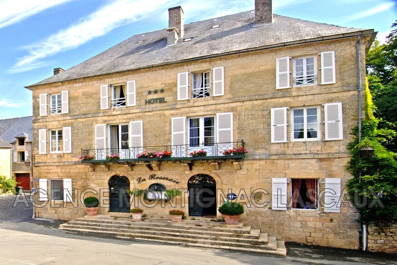 Professionnel  Montignac  