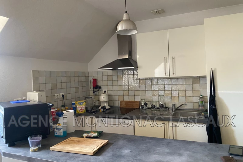 Professionnel immeuble Montignac  