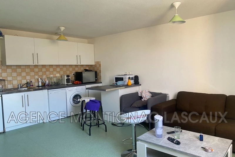 Professionnel immeuble Montignac  