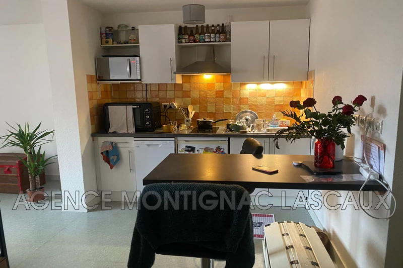 Professionnel immeuble Montignac  