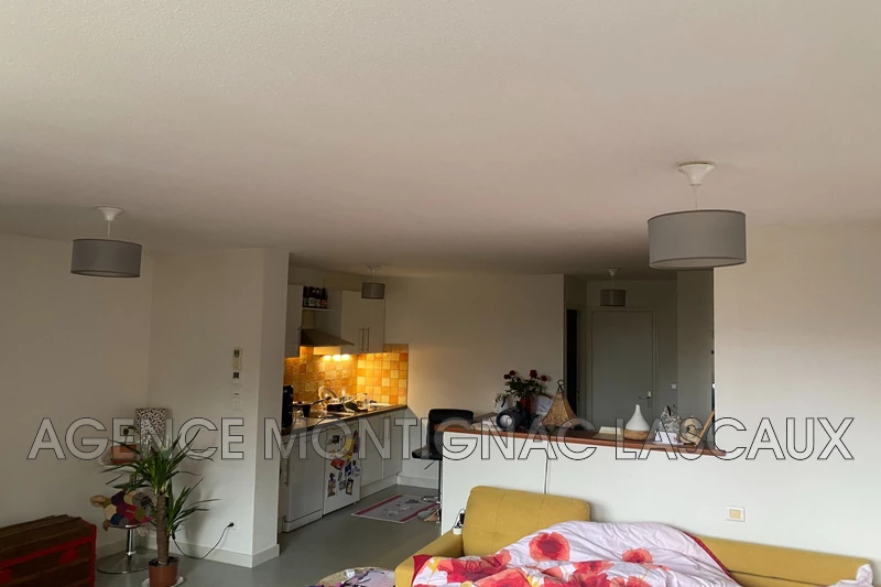 Professionnel immeuble Montignac-Lascaux  