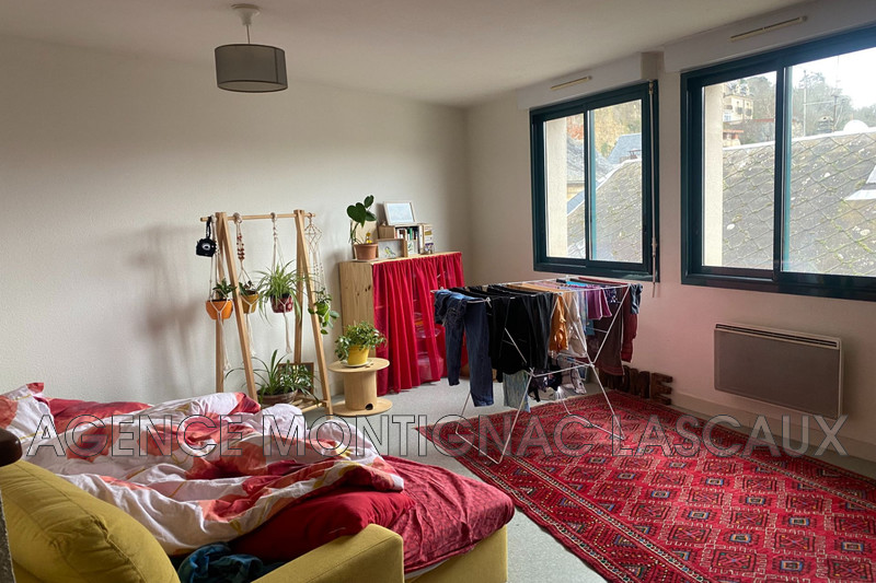 Professionnel immeuble Montignac-Lascaux  