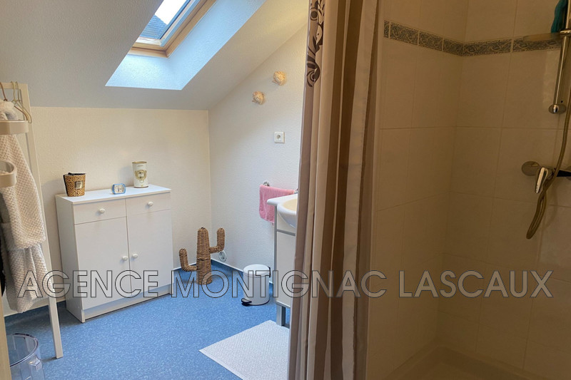 Professionnel immeuble Montignac-Lascaux  