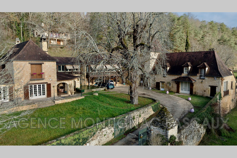 Vente propriété Montignac  