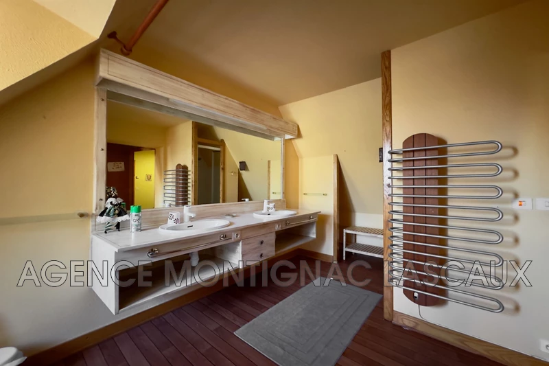 Vente propriété Montignac  
