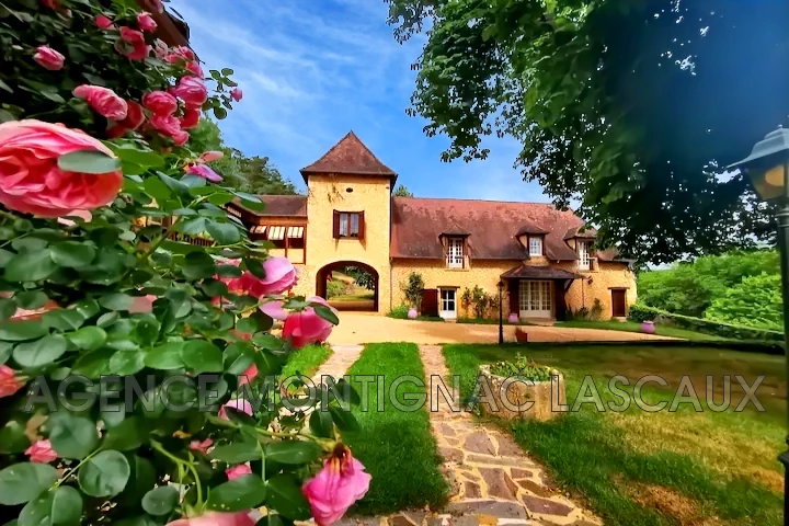Maison 15 pièces 500 m² · à Montignac-Lascaux · 500 m² · 707 000 €
