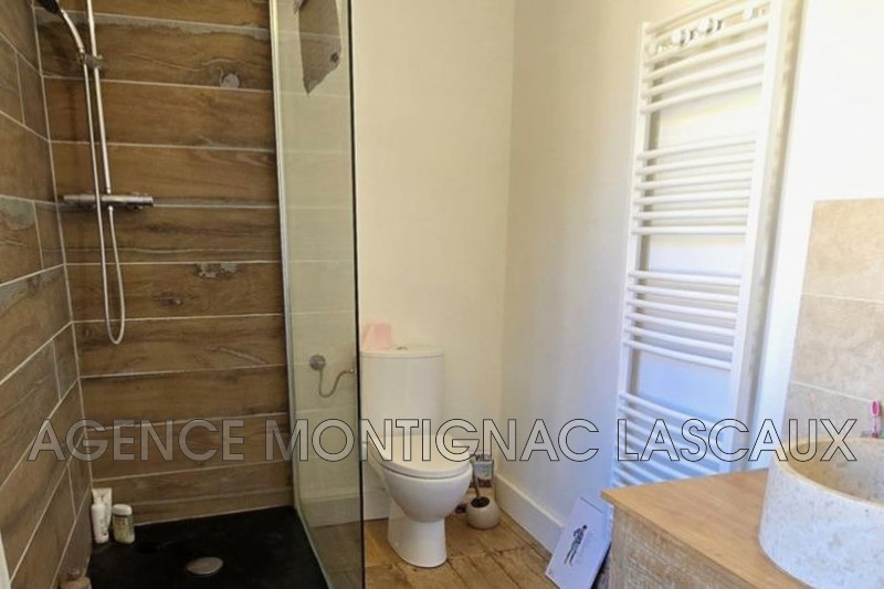 Vente maison de caractère Saint-Léon-sur-Vézère  