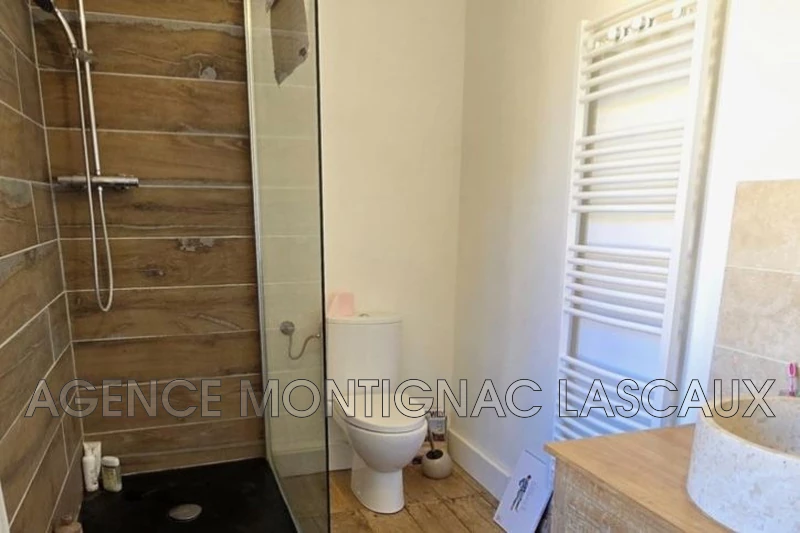 Vente maison de caractère Saint-Léon-sur-Vézère  