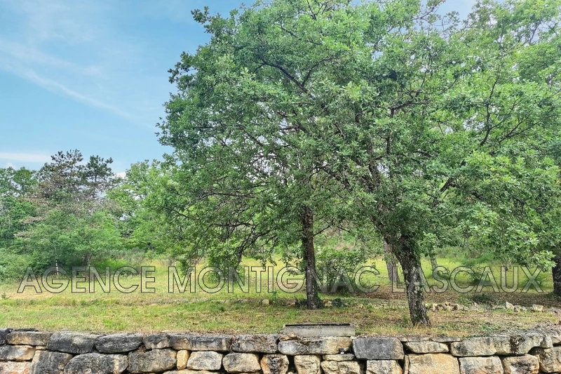 Vente chalet Montignac  