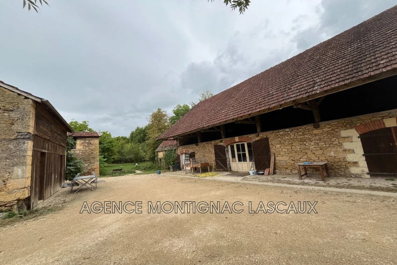 Vente maison Montignac-Lascaux  