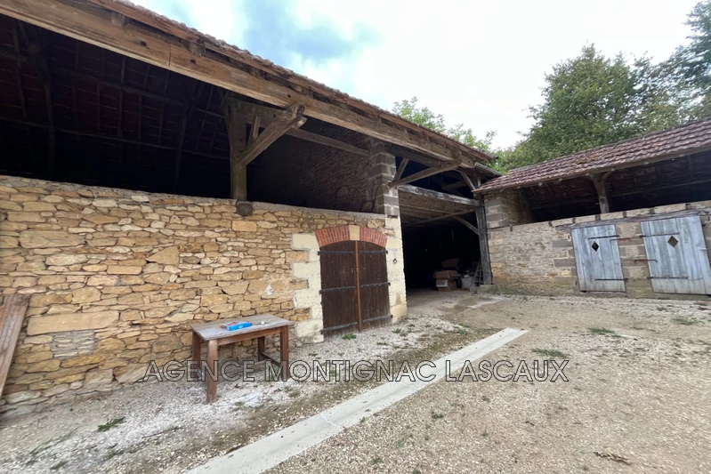 Vente maison Montignac-Lascaux  