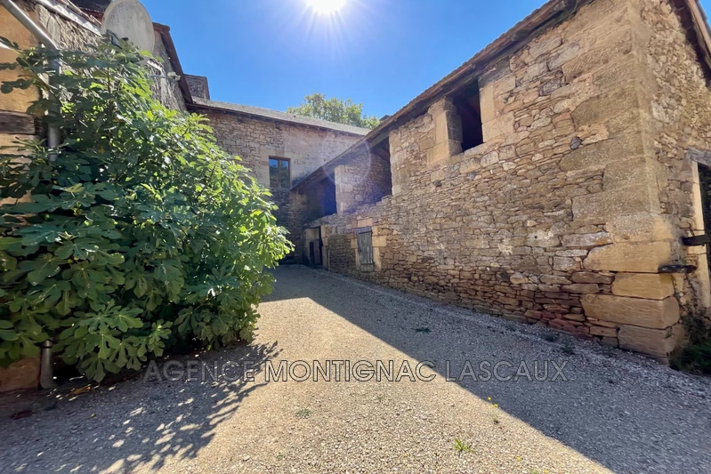 Vente maison Montignac-Lascaux  