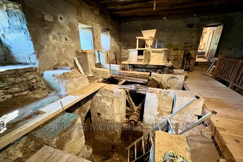 Vente maison Montignac-Lascaux  