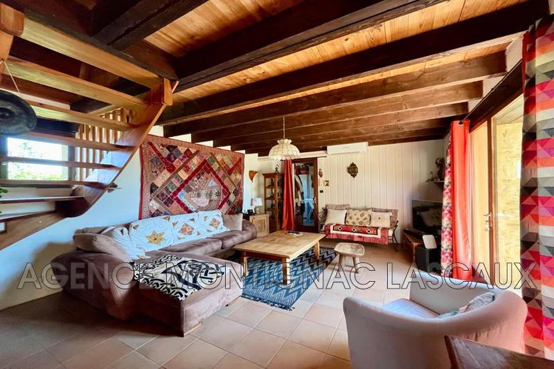Vente maison d'hôtes Plazac  