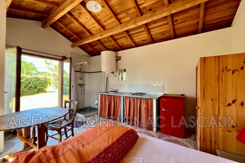 Vente maison d'hôtes Plazac  