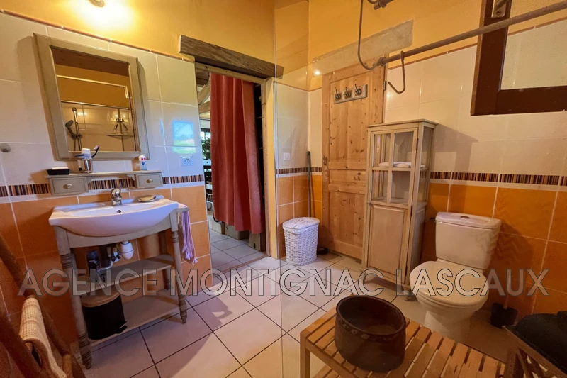Vente maison d'hôtes Plazac  