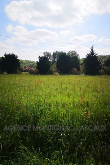 Vente terrain à bâtir Montignac  