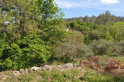 Photos Terrain à vendre Brignoles 83170